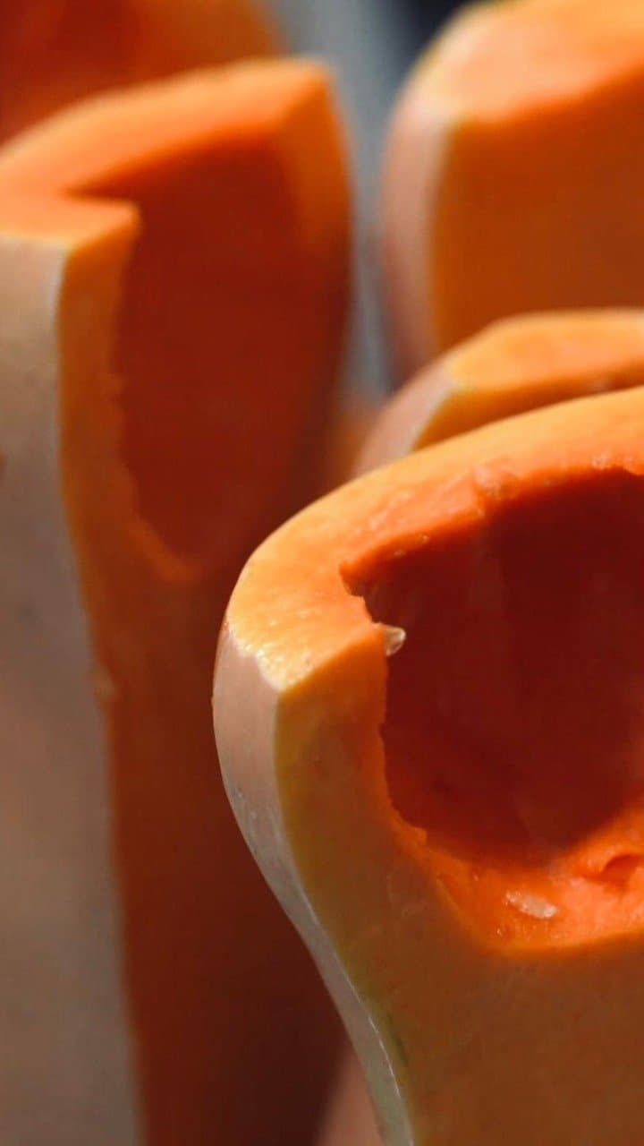 Pumpkin